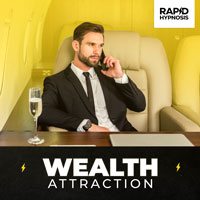 Wealth Attraction Cover